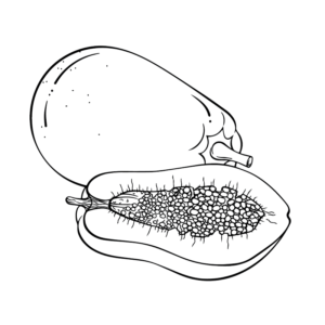 Papaya for Kids
