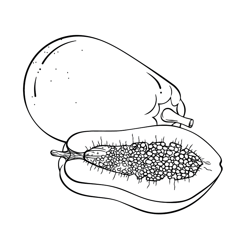 Papaya for Kids