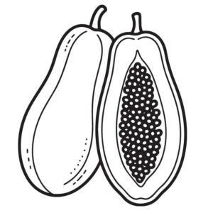 Papaya images drawing with colour
