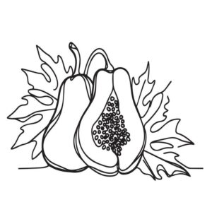 Simple papaya drawing with colour