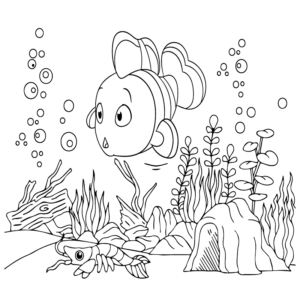 Adorable Clownfish