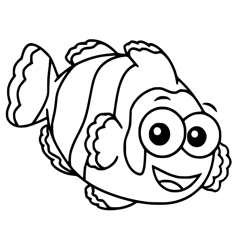 Beautiful Clownfish