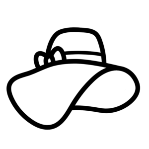 Cartwheel Hat