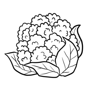 Cauliflower Coloring Page