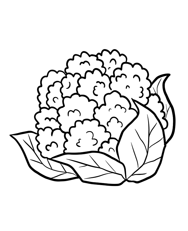 Cauliflower Coloring Page