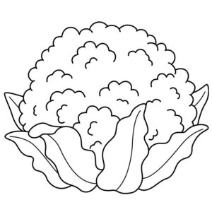 Cauliflower Coloring Pages Free Printable