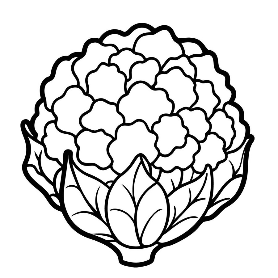 Cauliflower Coloring Pages free download