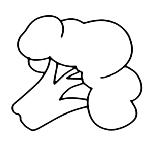 Cauliflower Drawing