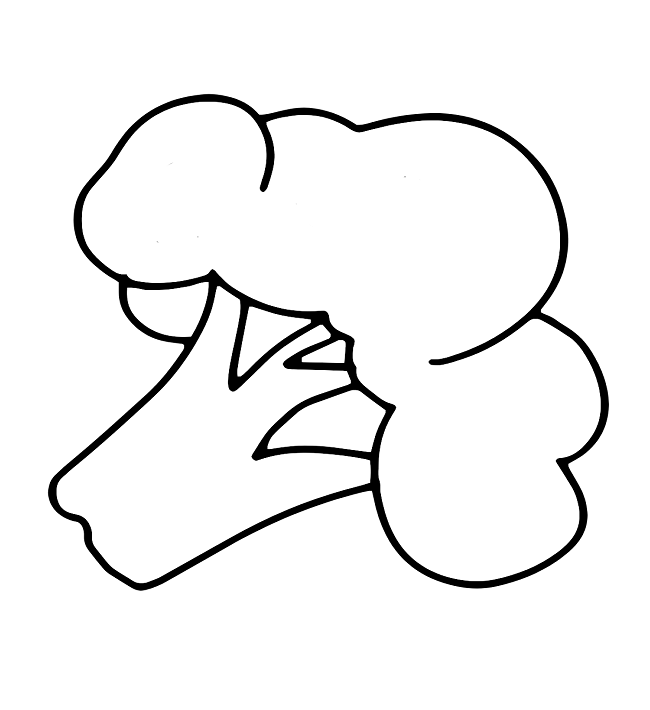 Cauliflower Drawing