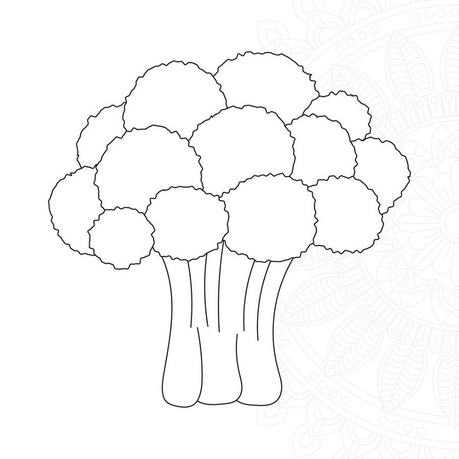 Cauliflower coloring pages for kids free