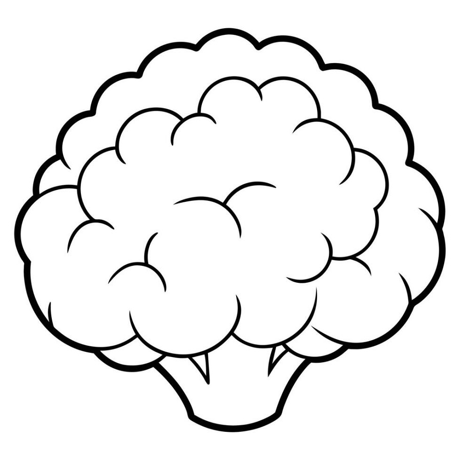 Cauliflower drawing with colour