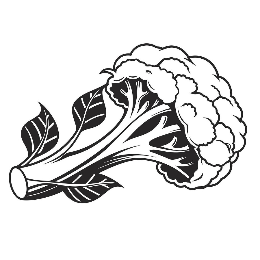Cauliflower drawing for kids pdf