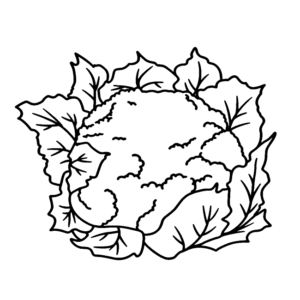 Cauliflower for Kids