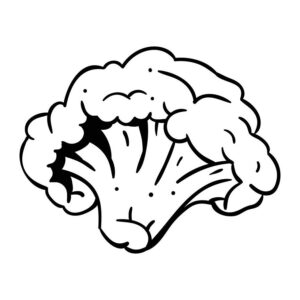 Cauliflower images free download