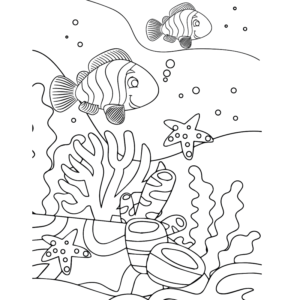 Clownfish Animals