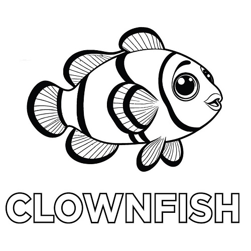 Clownfish