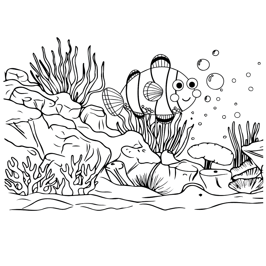 Clownfish color Sheets