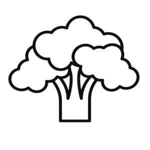 Drawing Cauliflower