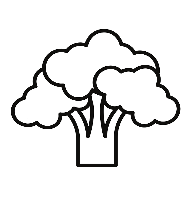 Drawing Cauliflower