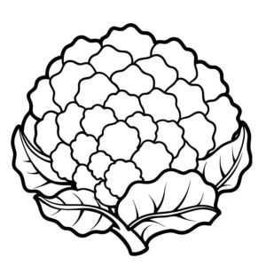 Drawing cauliflower for kids