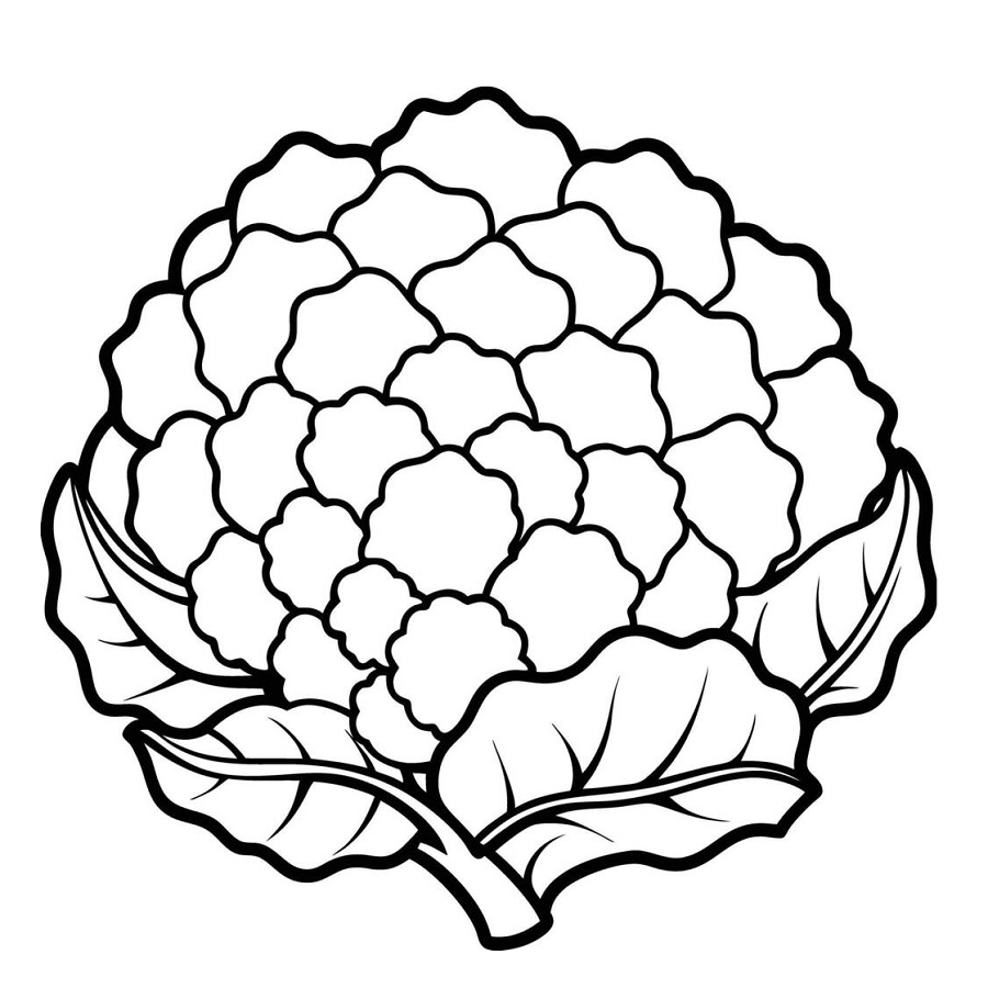 Drawing cauliflower for kids