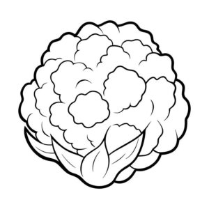 Free Cauliflower Coloring Pages