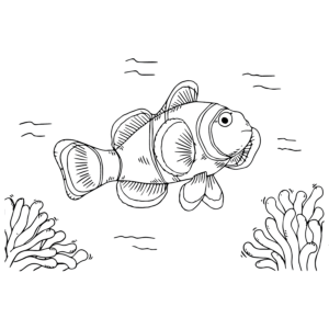 Free Clownfish