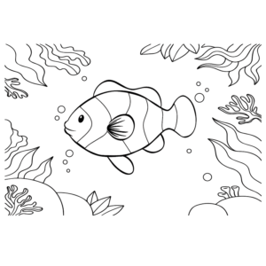 Images Clownfish