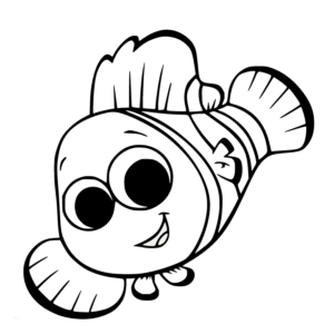 Pretty Clownfish