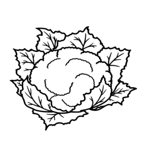 Printable Cauliflower
