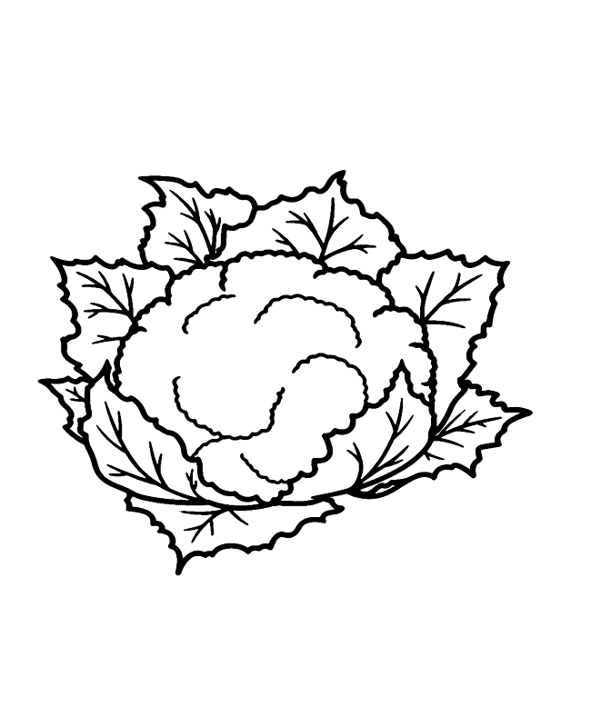 Printable Cauliflower