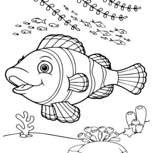 The Clownfish