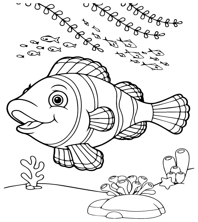 The Clownfish