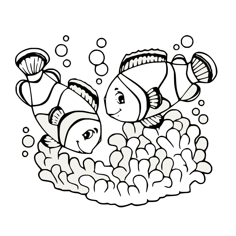 Two Clownfish and Coral