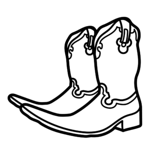 Mexican Pointy Boots